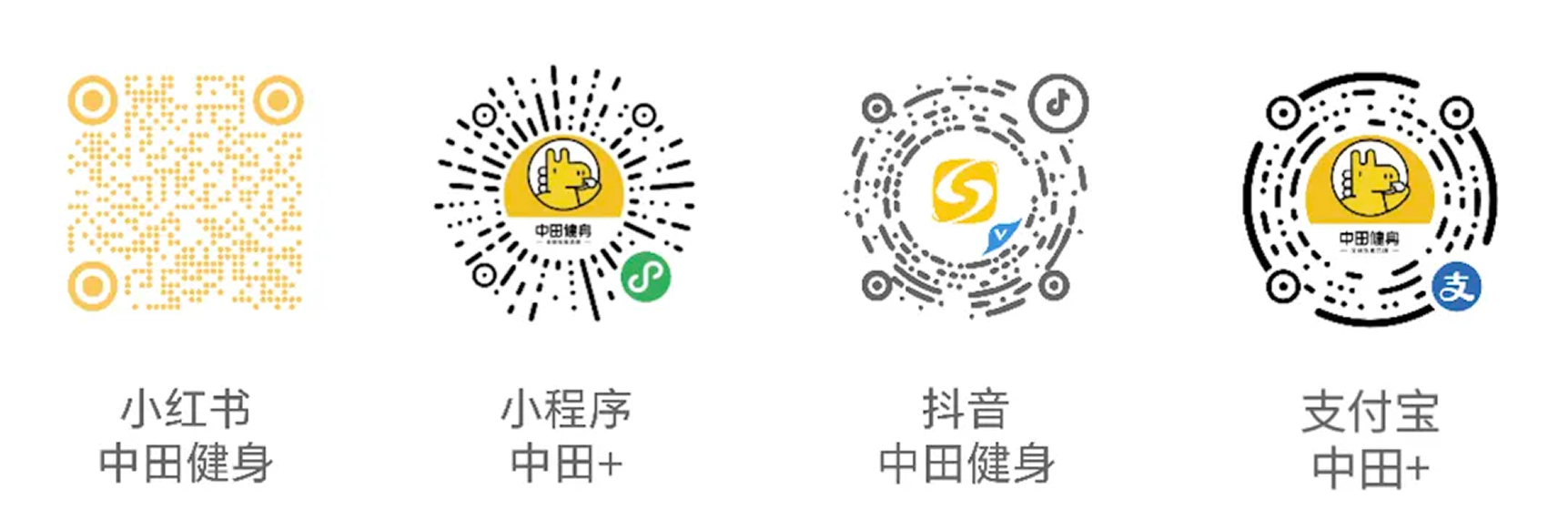 中田健身官方平台二维码
